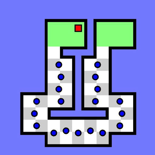 The World's Hardest Game